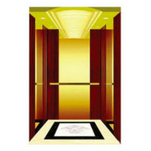 Villa Elevator / Home Lift 320kg-400kg
